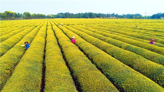 春分時節農管忙