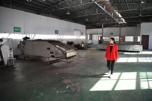 一片茶葉，萬(wàn)千氣象——新華社關(guān)注平利以茶飲產(chǎn)業(yè)引領(lǐng)鄉(xiāng)村振興新實(shí)踐