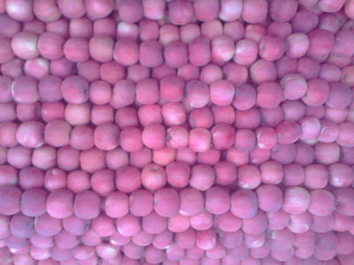 靜寧金色園 源自中國(guó)有機(jī)蘋(píng)果基地的“三無(wú)”臻品