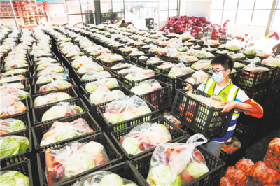 共擔風雨，“襄”助守“滬”——襄陽160噸愛心蔬菜馳援上海